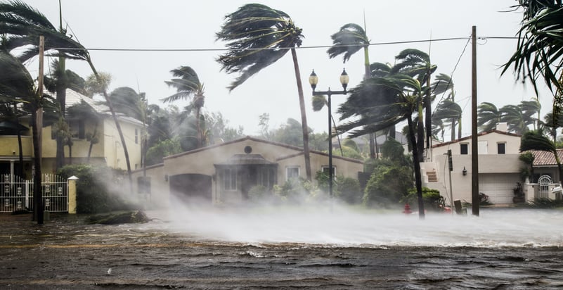 Florida Hurricane Snapshot