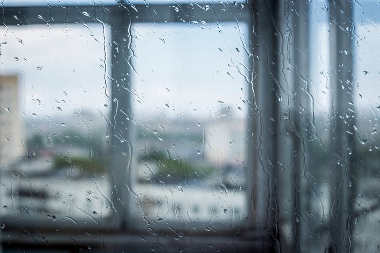 Rain Against Glass