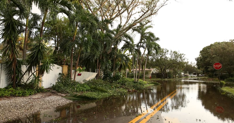 hurricane doors in Miami FL